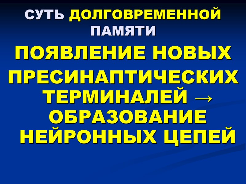 СУТЬ ДОЛГОВРЕМЕННОЙ ПАМЯТИ ПОЯВЛЕНИЕ НОВЫХ  ПРЕСИНАПТИЧЕСКИХ ТЕРМИНАЛЕЙ → ОБРАЗОВАНИЕ НЕЙРОННЫХ ЦЕПЕЙ